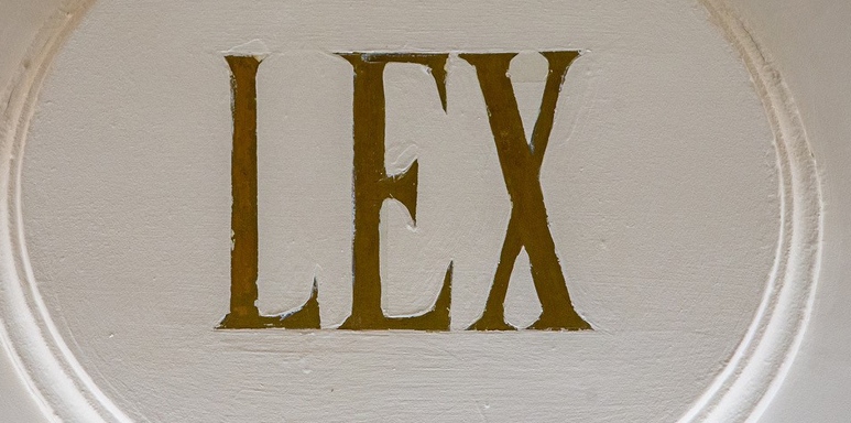 La función legislativa