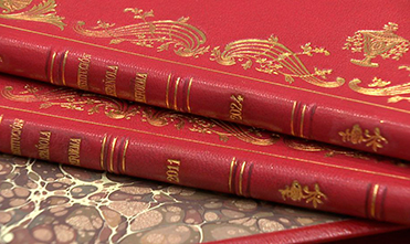 REFORMAS-CONSTITUCIÓN-Mini