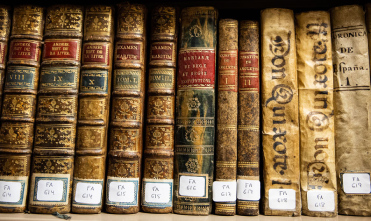 Más que una biblioteca parlamentaria